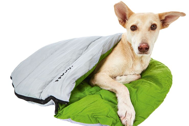 Schlafsack für den Hund Alcott Explorer