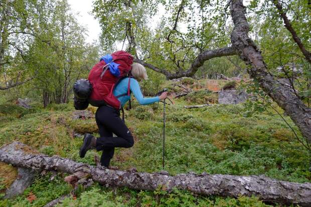 OD 2015 Sarek Schweden Wildnis Gnielka 2