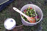 OD 2015 Zelttest Outdoor-Küche kochen Gemüse