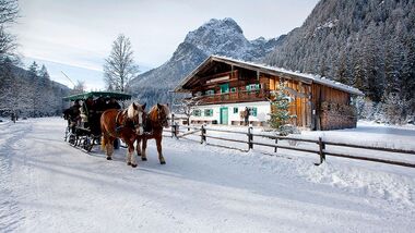 OD 2016 Bayern Winter Special Rodel Guide Winter Events Pferdeschlitten