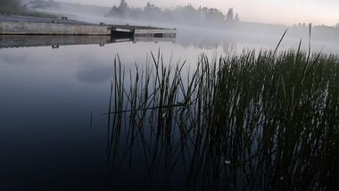 OD 2016 Manitoba Kanada Philip Duckwitz See Nebel Morgen