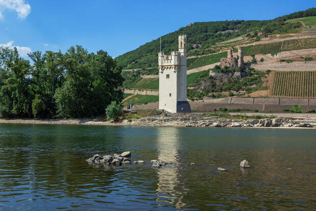 OD 2016 Rhein Burgen Weg Mäuseturm Ruine Ehrenfels