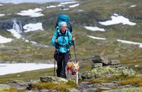 OD 2016 Trekking mit Hund Hardangervidda Norwegen