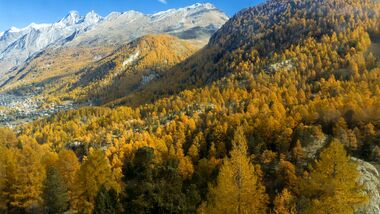 OD 2017 Herbst Alpen Berge Wallis Colourbox