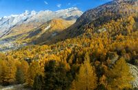 OD 2017 Herbst Alpen Berge Wallis Colourbox