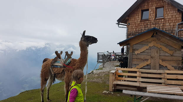 OD 2017 Werfener Hütte Tennengebirge Salzburg