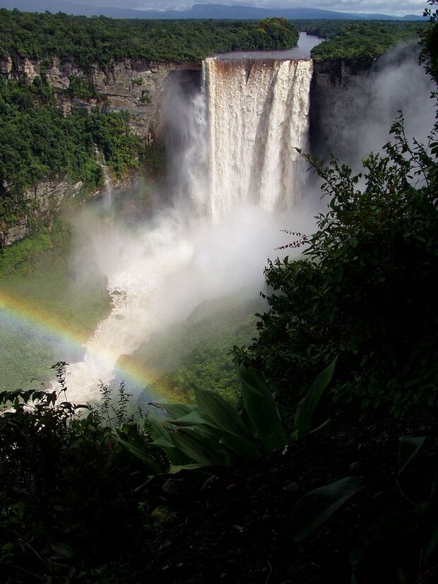 OD 2017 Wikimedia Commons Guyana Kaieteur Falls Wasserfall Tropen