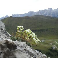 OD-Bergfotos-des-Jahres-Berglandschaft-Lena-Merz-Neuwied (jpg)