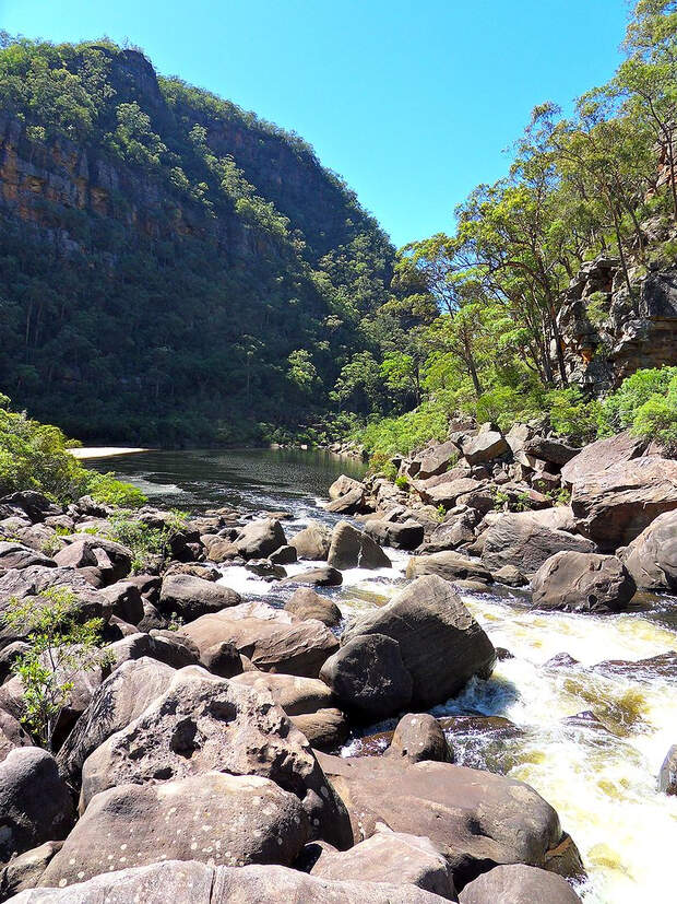 OD Colo River Australien Sydney Wildnis