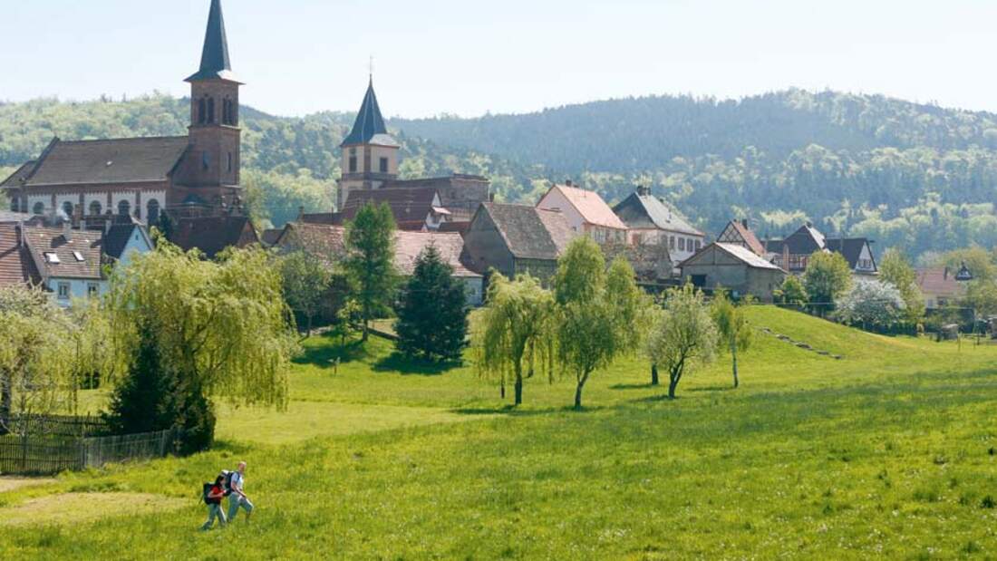 OD Die besten Frühjahrs-Ziele: Elsass