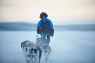 OD Fjällräven Polar Hundeschlittenrennen