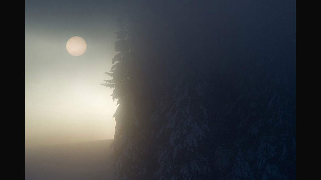 OD_GDT_2012_Lars-Andreas-Dybvik-winterwald (jpg)