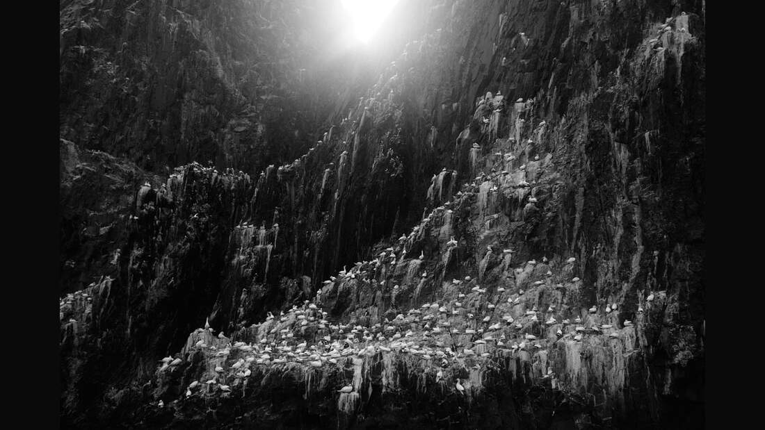 OD_GDT_2013_K1_01_Zoltan_Gergely_Nagy_Morgendaemmerung_am_Bass_Rock-Dawn_at_Bass_Rock (jpg)