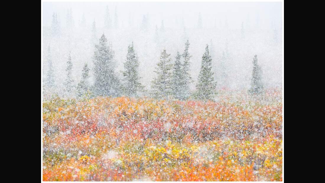 OD GDT Eurpaeischer Naturfotograf des Jahres 2016 K4_01_Fortunato_Gatto_Wenn_Herbst_und_Winter_sich_treffen (jpg)
