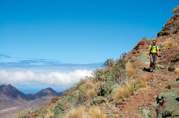 OD Gran Canaria