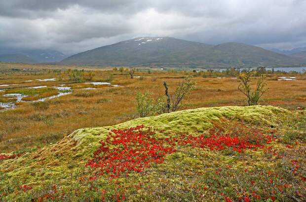 OD-KEEN-Durand-Leseraktion-Anastasia-2014-09 (jpg)