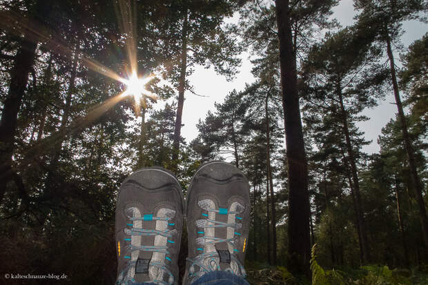 OD-KEEN-Durand-Leseraktion-Silvana-2014-06 (jpg)
