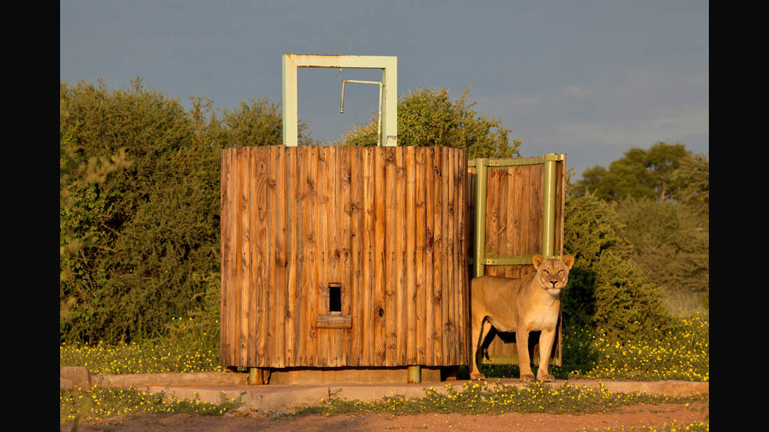 OD-Naturfotograf-2011-Eva-Pum-Frisch-geduscht (jpg)