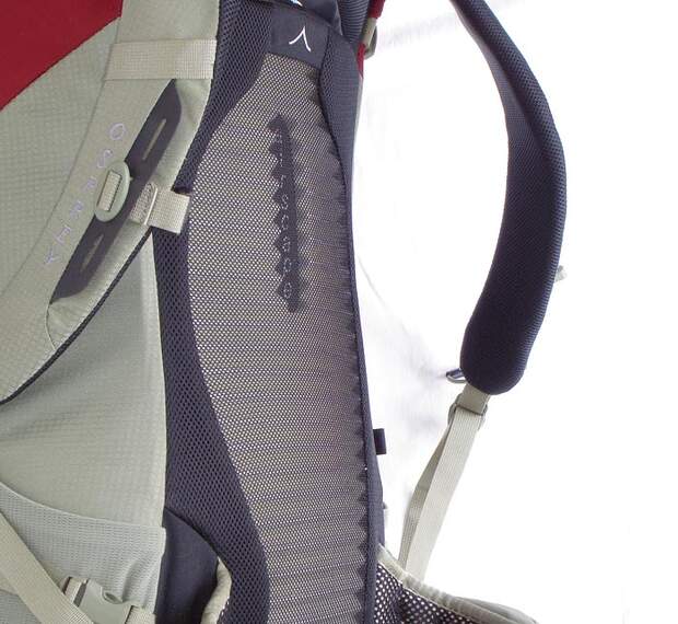 OD Osprey Kestrel 38 - Ventilationsrücken