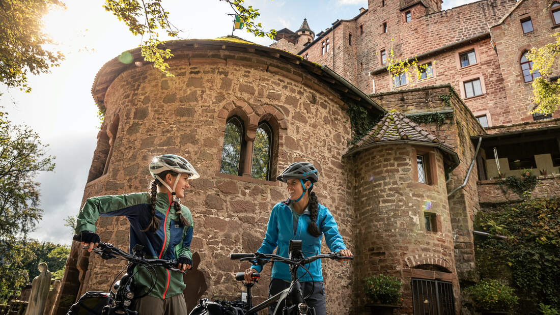 OD SH 01/2022: Radfahren Pfalz