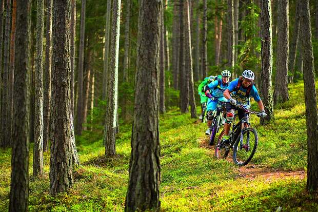 OD-SH-Bayern-2015-Bikeguide-Bayrischer-Wald