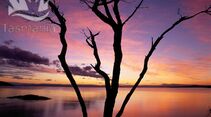 OD Tasmanien Sunset