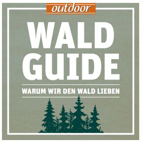 OD Wald-Guide Teaserbild quadratisch