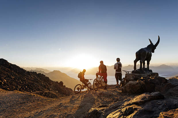 Od 052019 Sommer Bergerlebnisse Oberengadin Mountainbike Steinbock
