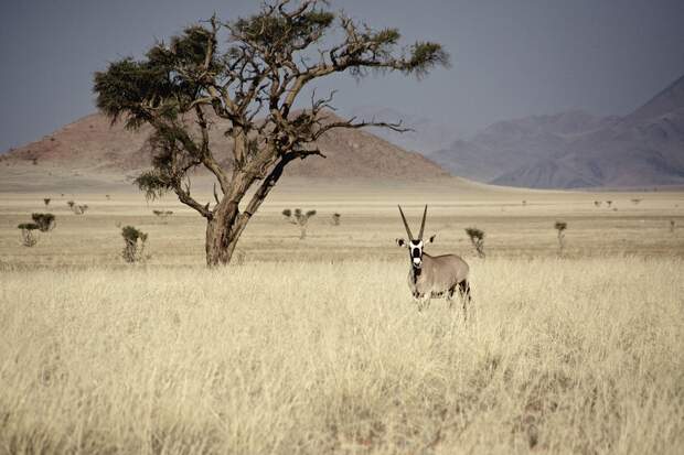 Outdoor-Abenteuer in Namibia