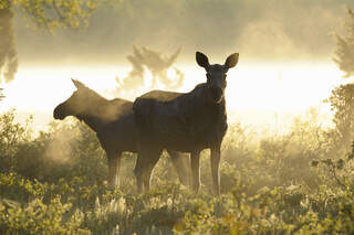 Outdoor-Destination Schweden