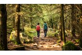 Schwarzwald wandern: Albtal-Abenteuer-Track