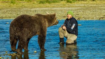 Sommer mit Bären - David Bittner