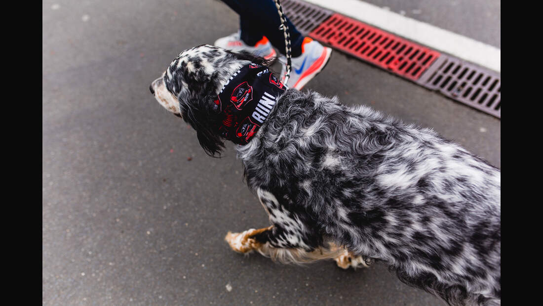StrongmanRun am Nürburgring - Bilder 19