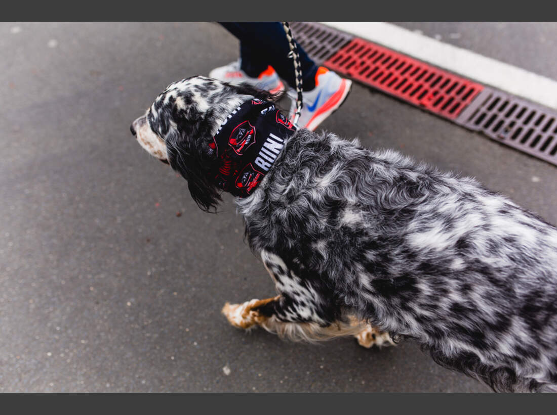 StrongmanRun am Nürburgring - Bilder 19
