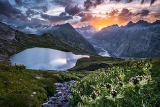 Switzerland  Summer: Guttannen, Grimsel Panorama