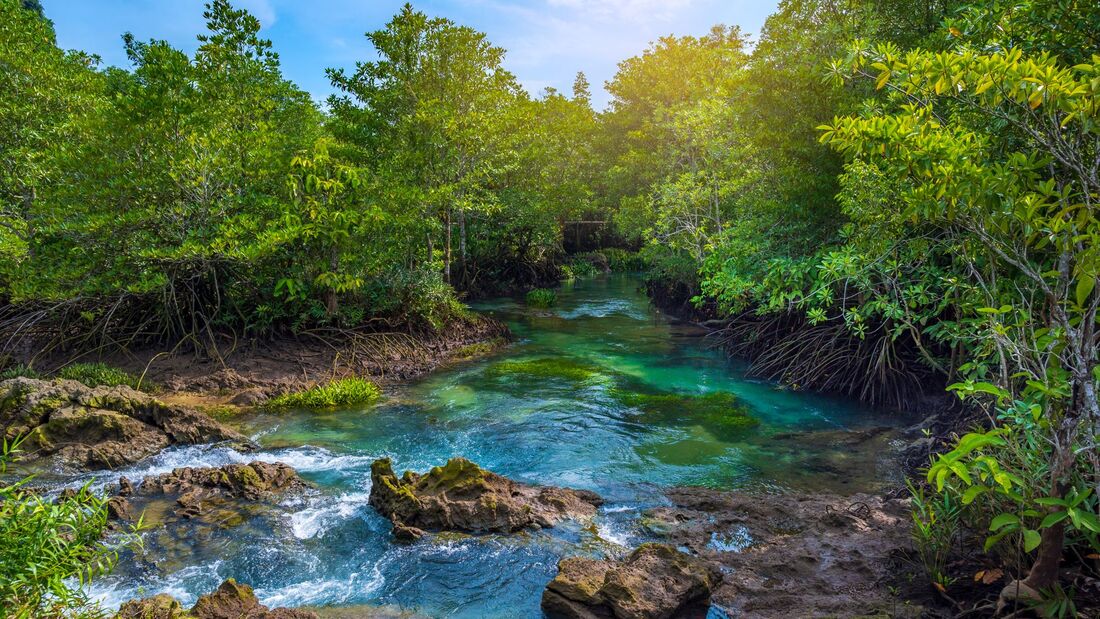 Tha Pom Klong Song Nam Krabi Blue Waterfall Line Tourist attractions in Thailand