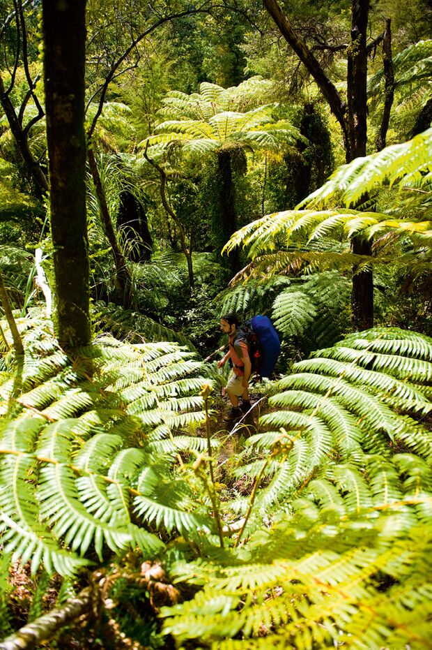 Trek Neuseeland Abel Tasman Park