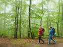Trekking Sauerland/ 01/2022