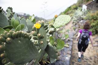 Wandern auf La Palma - Kanaren