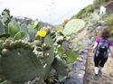 Wandern auf La Palma - Kanaren