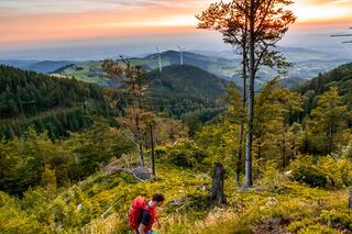 Wandern im Breisgau - Schwarzwald