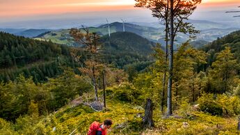 Wandern im Breisgau - Schwarzwald