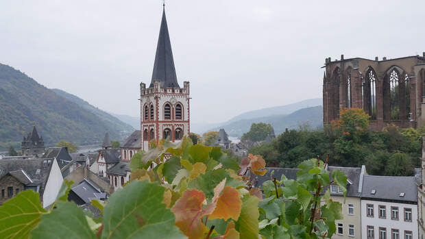 Weinwandern auf dem Rheinburgenweg - Bacharach