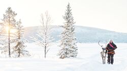 Winter-Insta-Orte. hier: Schweden (Lapland)