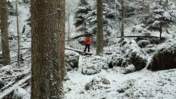 Winterwandern im Wald - Schwäbische Alb