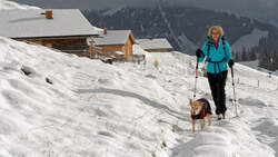 Winterwandern mit Hund