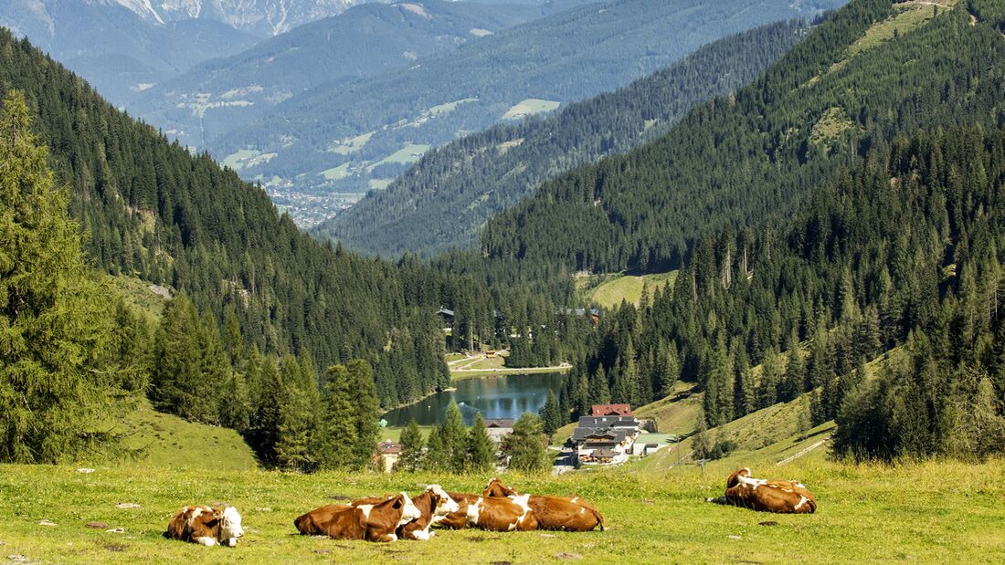 Zauchensee-Flachauwinkl im Salzburger Land, Österreich