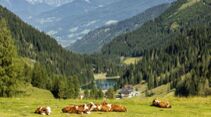 Zauchensee-Flachauwinkl im Salzburger Land, Österreich