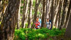 Zeltplatztrekking in der Pfalz