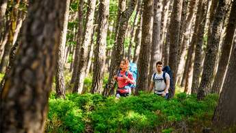 Zeltplatztrekking in der Pfalz